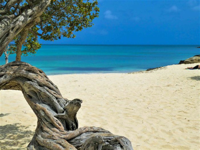 Eagle Beach Aruba