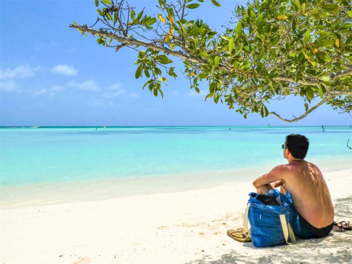 Sitting Under Tree on Palm Beach Aruba