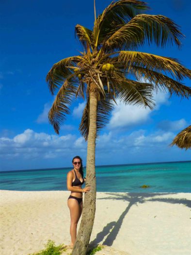 Palm Trees on Arashi Beach in Aruba