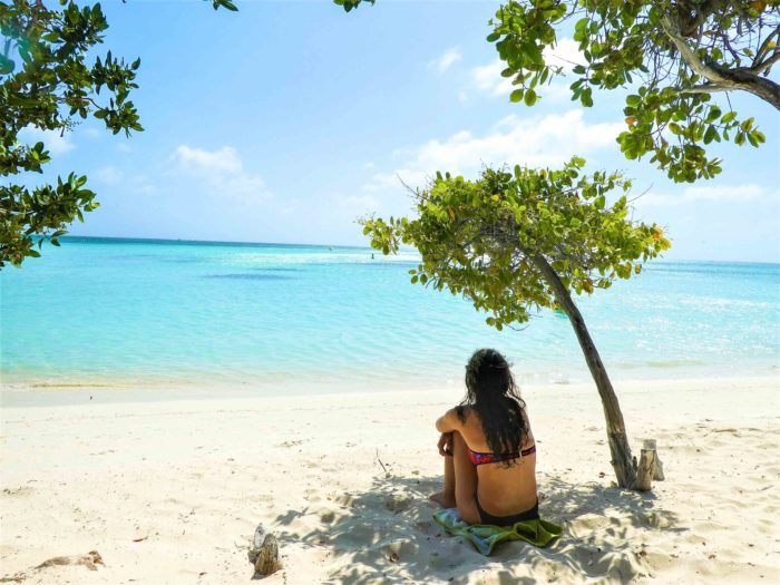 Under the Tree's Shade on Palm Beach Aruba