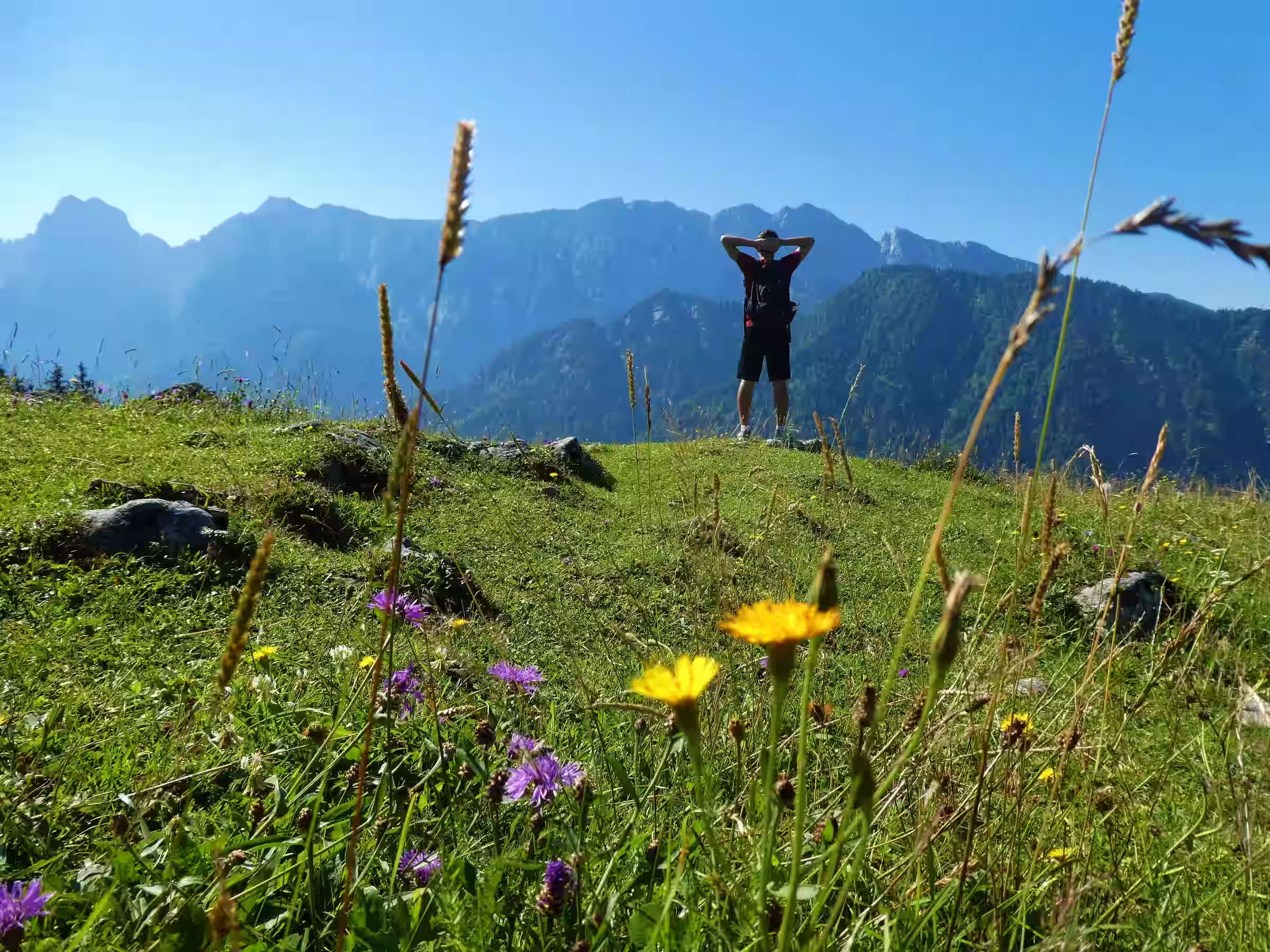 Ryne standing on Ritzer Alm looking at the mountains near Kufstein