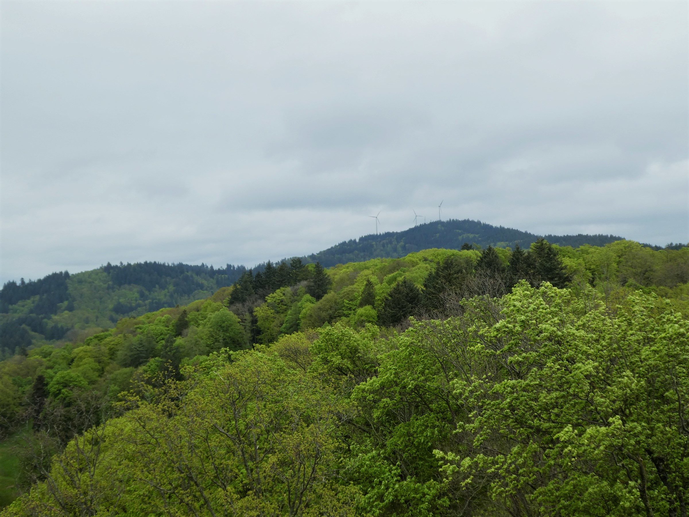 Black Forest Freiburg Germany Lookout