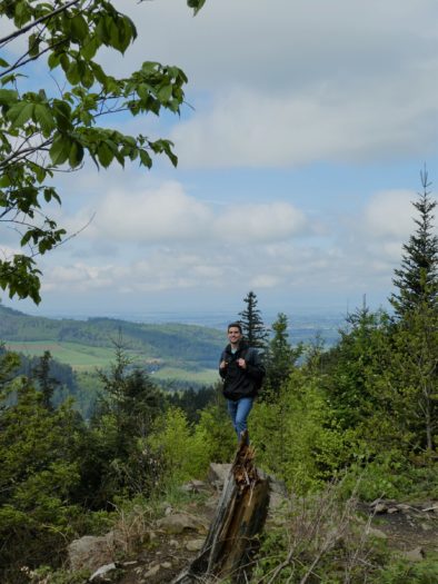 Rehaghütte Hiking Trail Freiburg