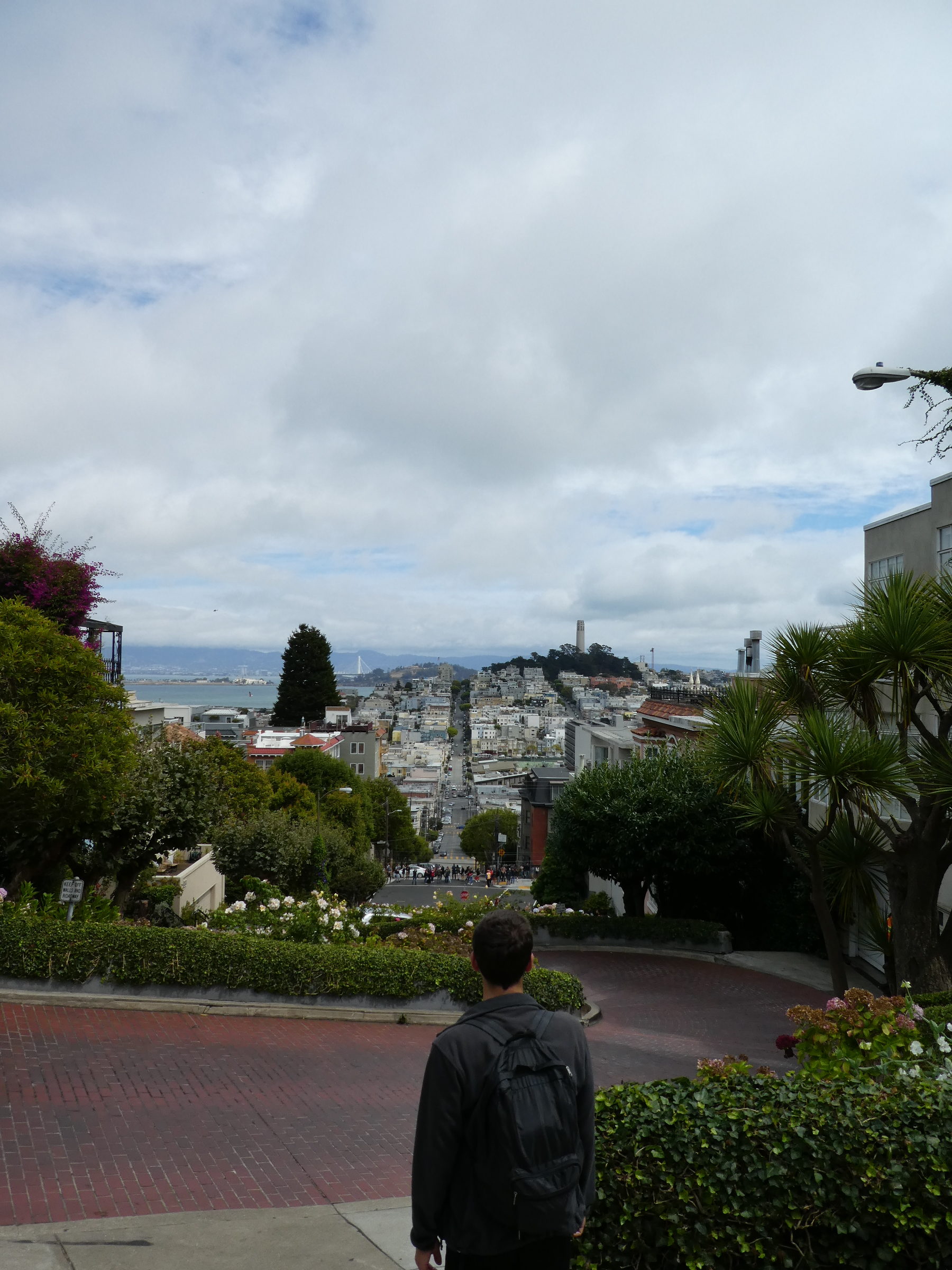 Lombard Street in San Francisco by hesaidorshesaid