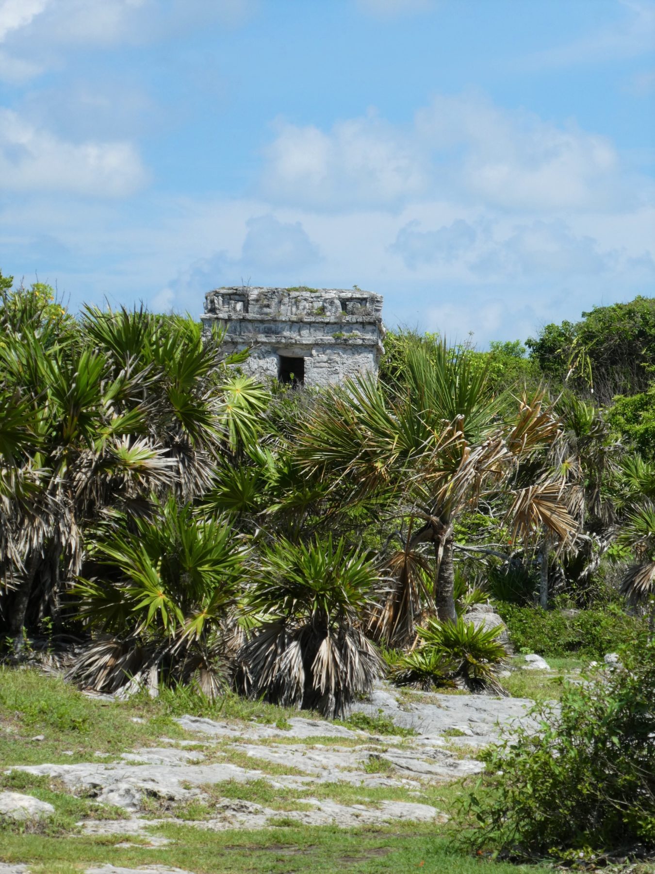 Mexico Tulum ruins by hesaidorshesaid