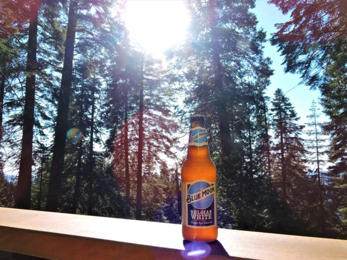 Blue Moon beer in the forest