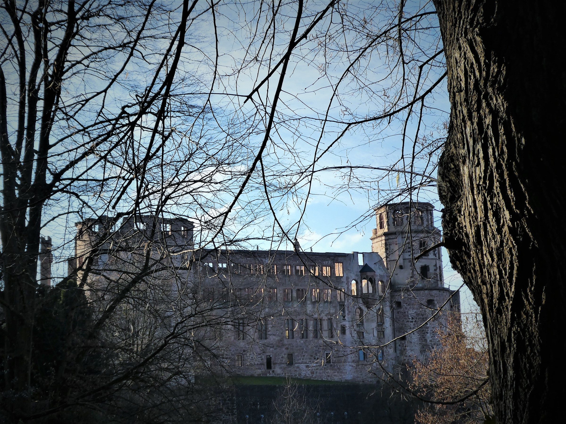 Castle View Heidelberg