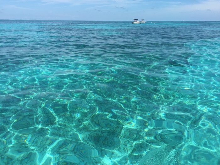 Clear water in the Florida Keys
