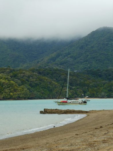 Beach on Manawaora Road in Bay of Islands New Zealand