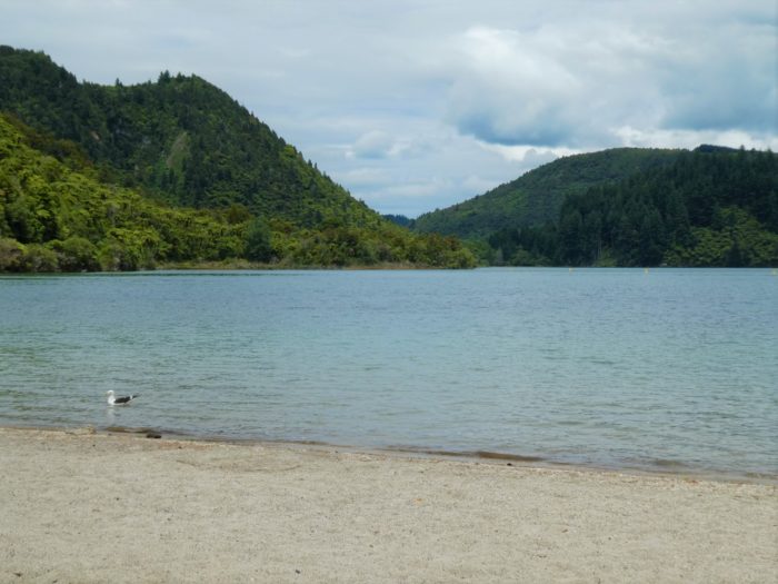 Blue Lake in Rotorua