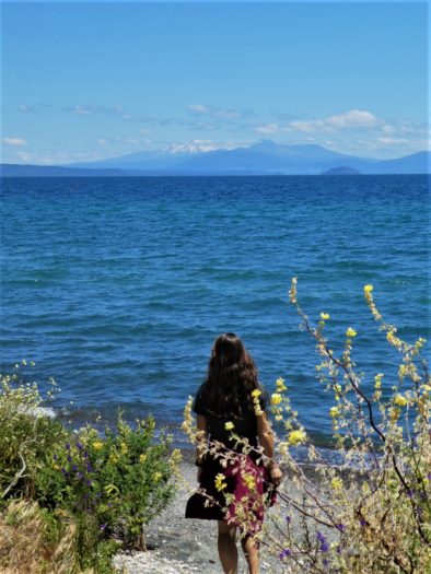 Five Mile Bay Recreation Reserve in Taupo