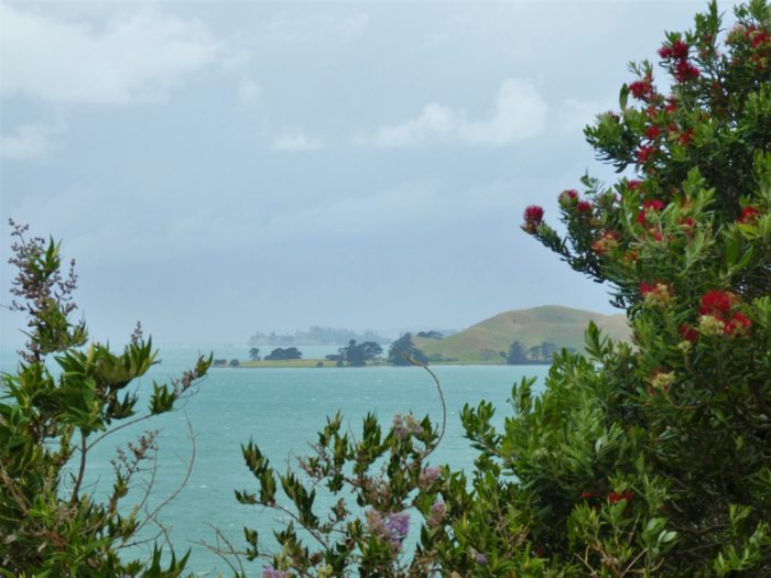 Island View from Achilles Point in Auckland