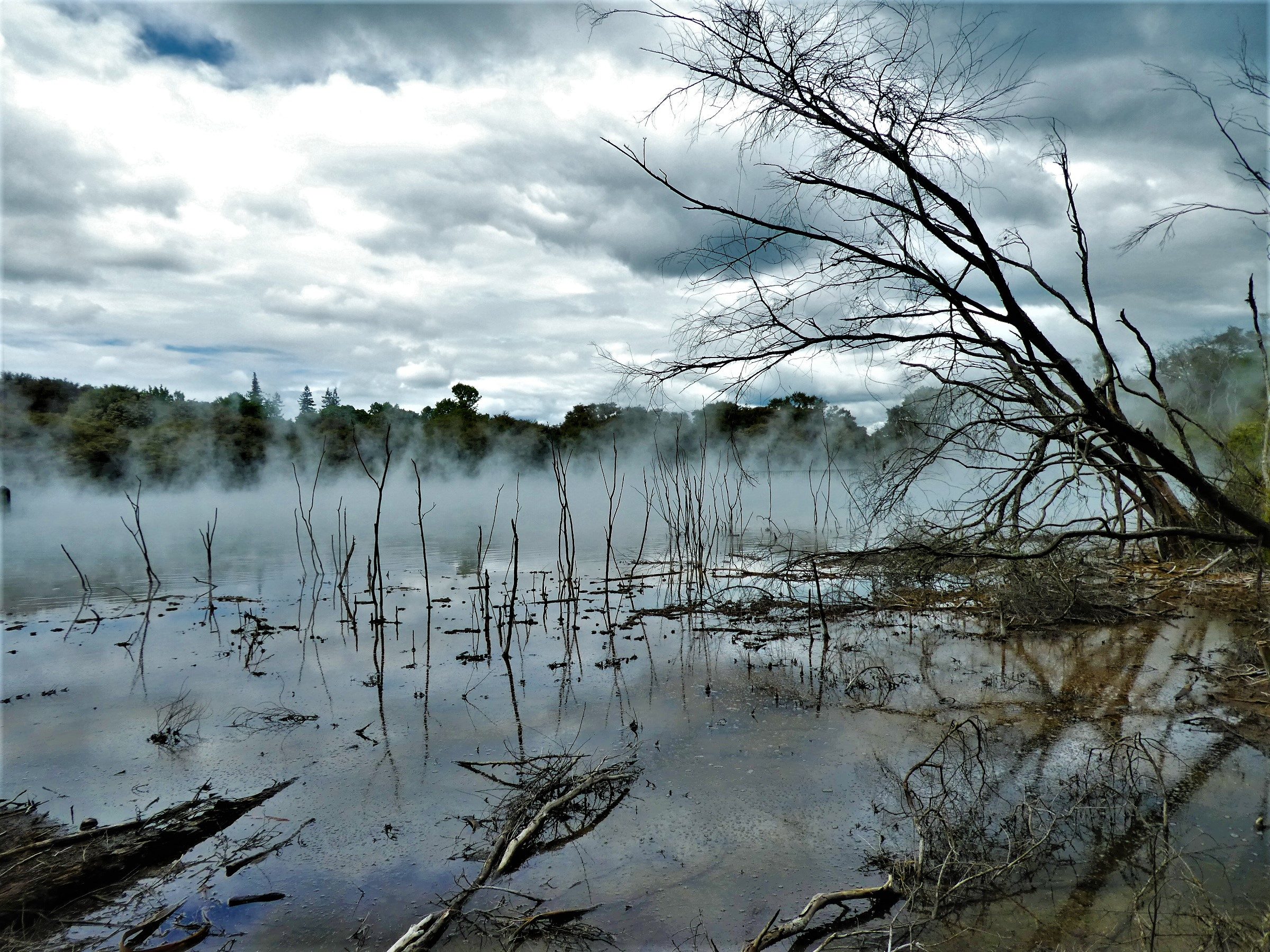 Mud Pools in Kuirau Park in Rotorua