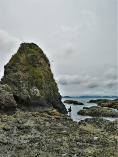 Rocky Bay Reserve in Russell New Zealand