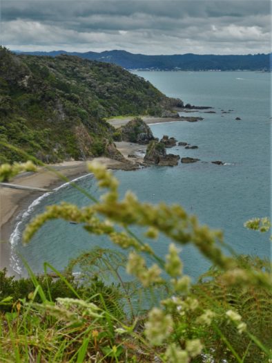 Tapeka Point Beach from Tapeka Track in Russell New Zealand