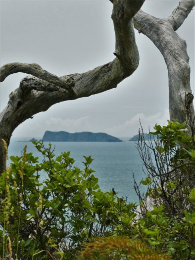 View of Bay of Islands from Tapeka Track in Russell New Zealand