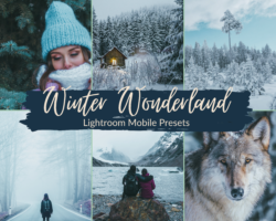 Winter Wonderland Preset Lightroom Mobile