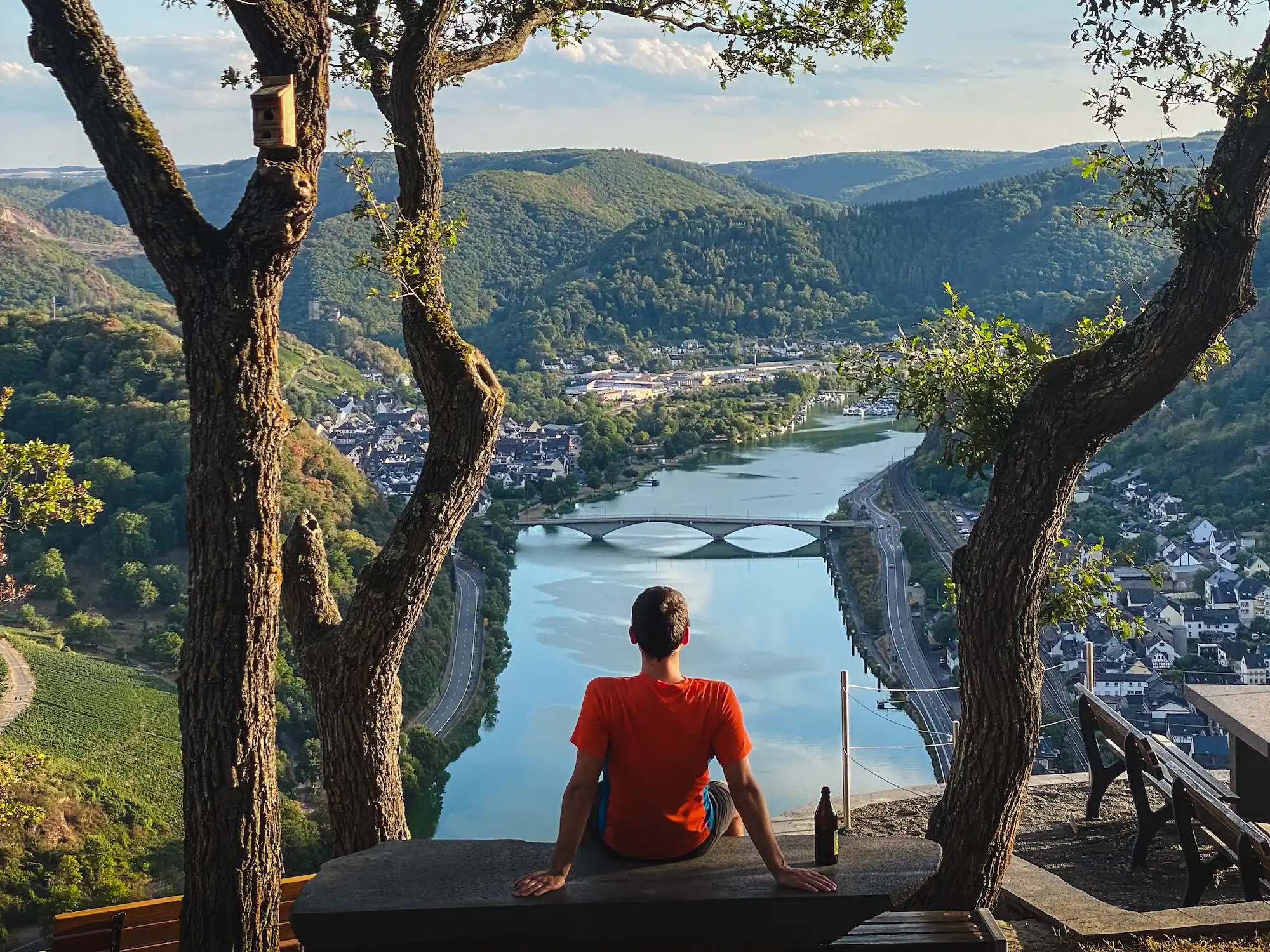 Man sitting on bench overlooking the Moselle River in Treis-Karden