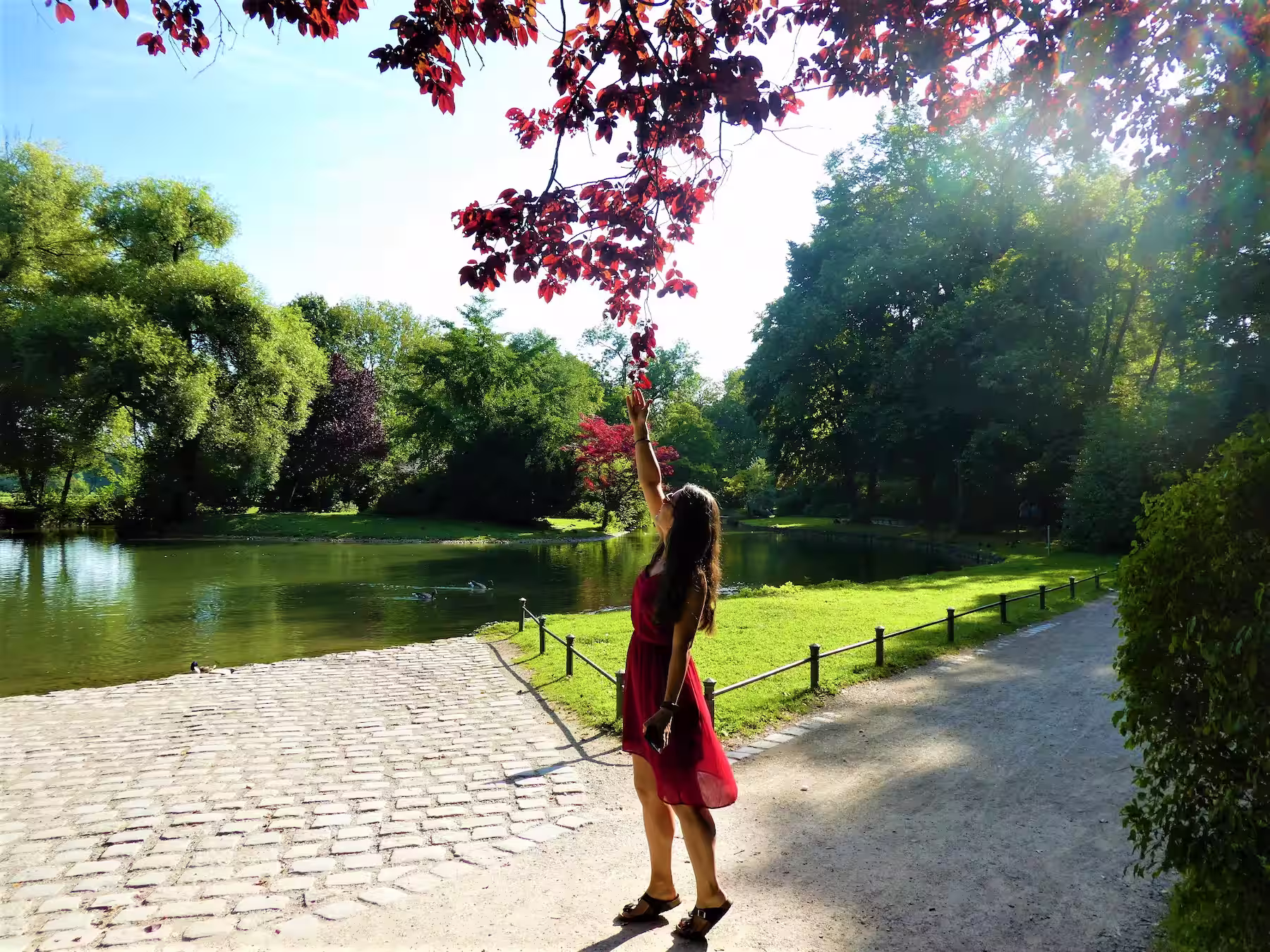Denise reaching up for a red leaf in the English Garden in Munich