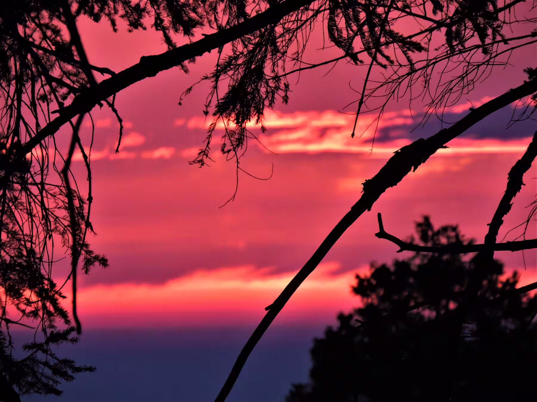 Sunset in Sequoia National Park